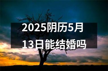 <h3>2025阴历5月13日能结婚吗