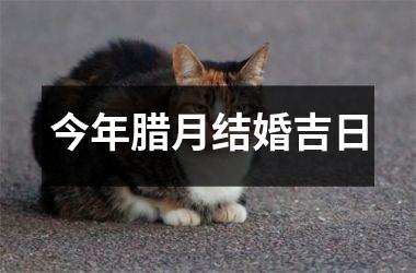 <h3>今年腊月结婚吉日