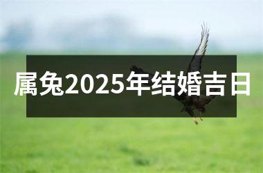 <h3>属兔2025年结婚吉日