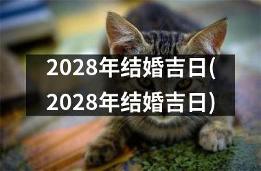 <h3>2028年结婚吉日(2028年结婚吉日)