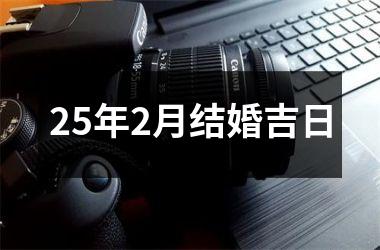 <h3>25年2月结婚吉日