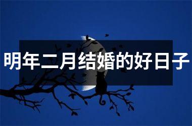 <h3>明年二月结婚的好日子