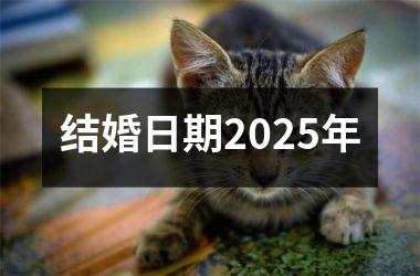 <h3>结婚日期2025年