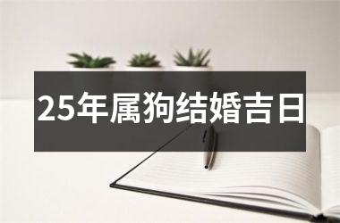 <h3>25年属狗结婚吉日