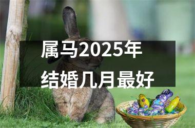 属马2025年结婚几月最好