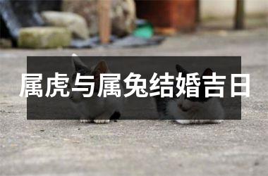 <h3>属虎与属兔结婚吉日
