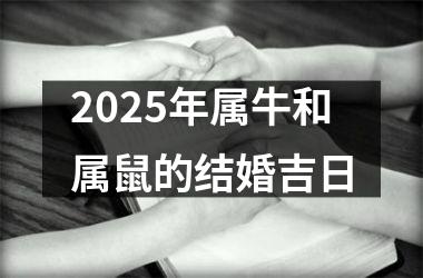 <h3>2025年属牛和属鼠的结婚吉日