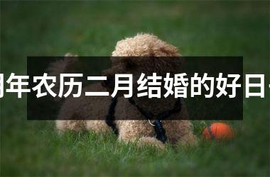 <h3>明年农历二月结婚的好日子