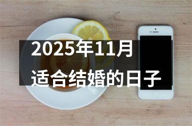 <h3>2025年11月适合结婚的日子
