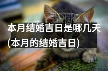 <h3>本月结婚吉日是哪几天(本月的结婚吉日)