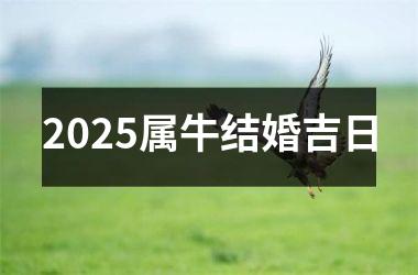 <h3>2025属牛结婚吉日