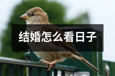 <h3>结婚怎么看日子