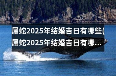 属蛇2025年结婚吉日有哪些(属蛇2025年结婚吉日有哪些呢)