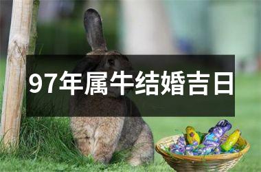 <h3>97年属牛结婚吉日