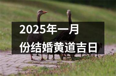 <h3>2025年一月份结婚黄道吉日