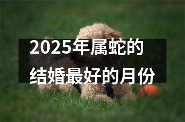 <h3>2025年属蛇的结婚最好的月份