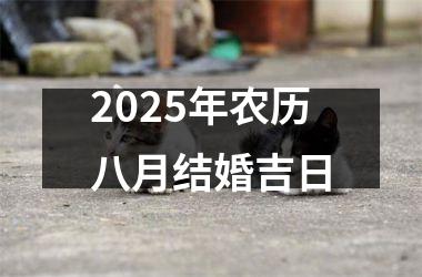<h3>2025年农历八月结婚吉日