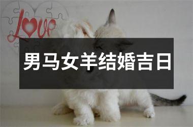 <h3>男马女羊结婚吉日