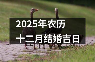 <h3>2025年农历十二月结婚吉日
