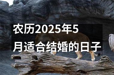 <h3>农历2025年5月适合结婚的日子