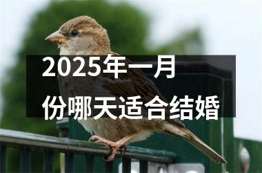 2025年一月份哪天适合结婚