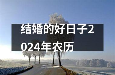 <h3>结婚的好日子2024年农历