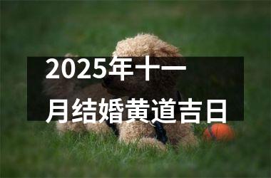 <h3>2025年十一月结婚黄道吉日