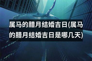 <h3>属马的腊月结婚吉日(属马的腊月结婚吉日是哪几天)