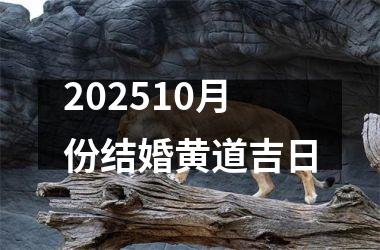 <h3>202510月份结婚黄道吉日