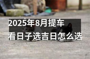 2025年8月提车看日子选吉日怎么选