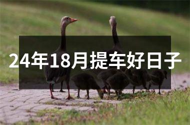 <h3>24年18月提车好日子