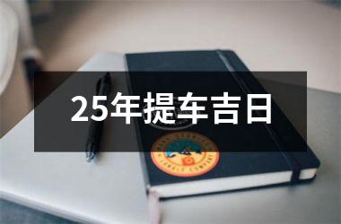 <h3>25年提车吉日