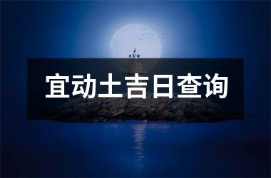 <h3>宜动土吉日查询