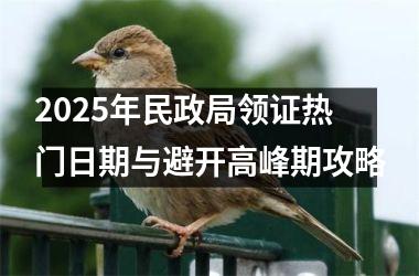2025年民政局领证热门日期与避开高峰期攻略