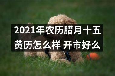 <h3>2025年农历腊月十五黄历怎么样 开市好么