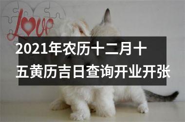 <h3>2025年农历十二月十五黄历吉日查询开业开张