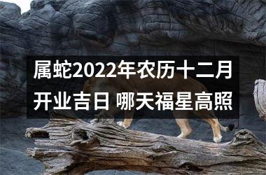 <h3>属蛇2025年农历十二月开业吉日 哪天福星高照