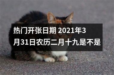 <h3>热门开张日期 2025年3月31日农历二月十九是不是