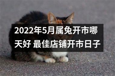 <h3>2025年5月属兔开市哪天好 佳店铺开市日子