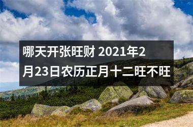 哪天开张旺财 2025年2月23日农历正月十二旺不旺