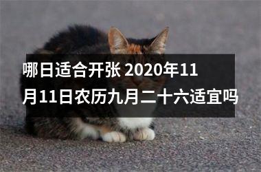 哪日适合开张 2020年11月11日农历九月二十六适宜吗