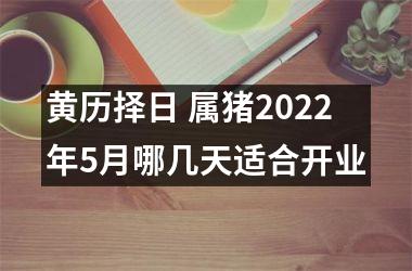 黄历择日 属猪2022年5月哪几天适合开业