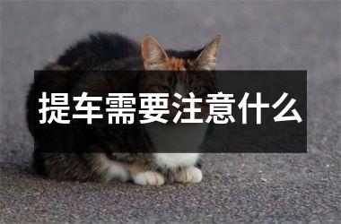 提车需要注意什么