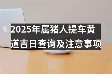 <h3>2025年属猪人提车黄道吉日查询及注意事项