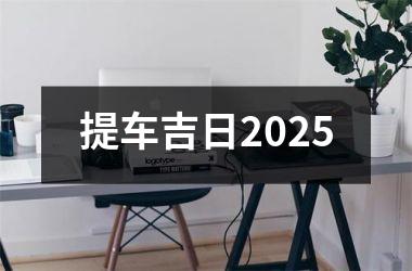 <h3>提车吉日2025