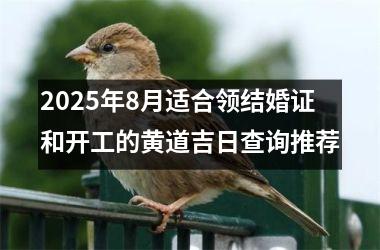 <h3>2025年8月适合领结婚证和开工的黄道吉日查询推荐
