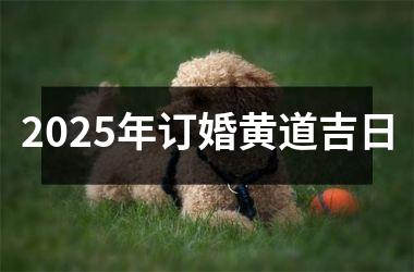 2025年订婚黄道吉日
