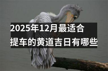 <h3>2025年12月最适合提车的黄道吉日有哪些