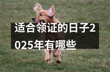 适合领证的日子2025年有哪些