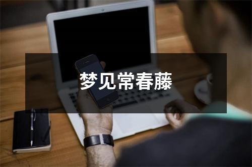 <h3>梦见常春藤